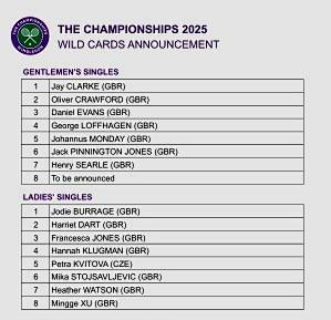 瑞士队遗憾出局,虎头蛇尾 瑞士队遗憾出局,虎头蛇尾