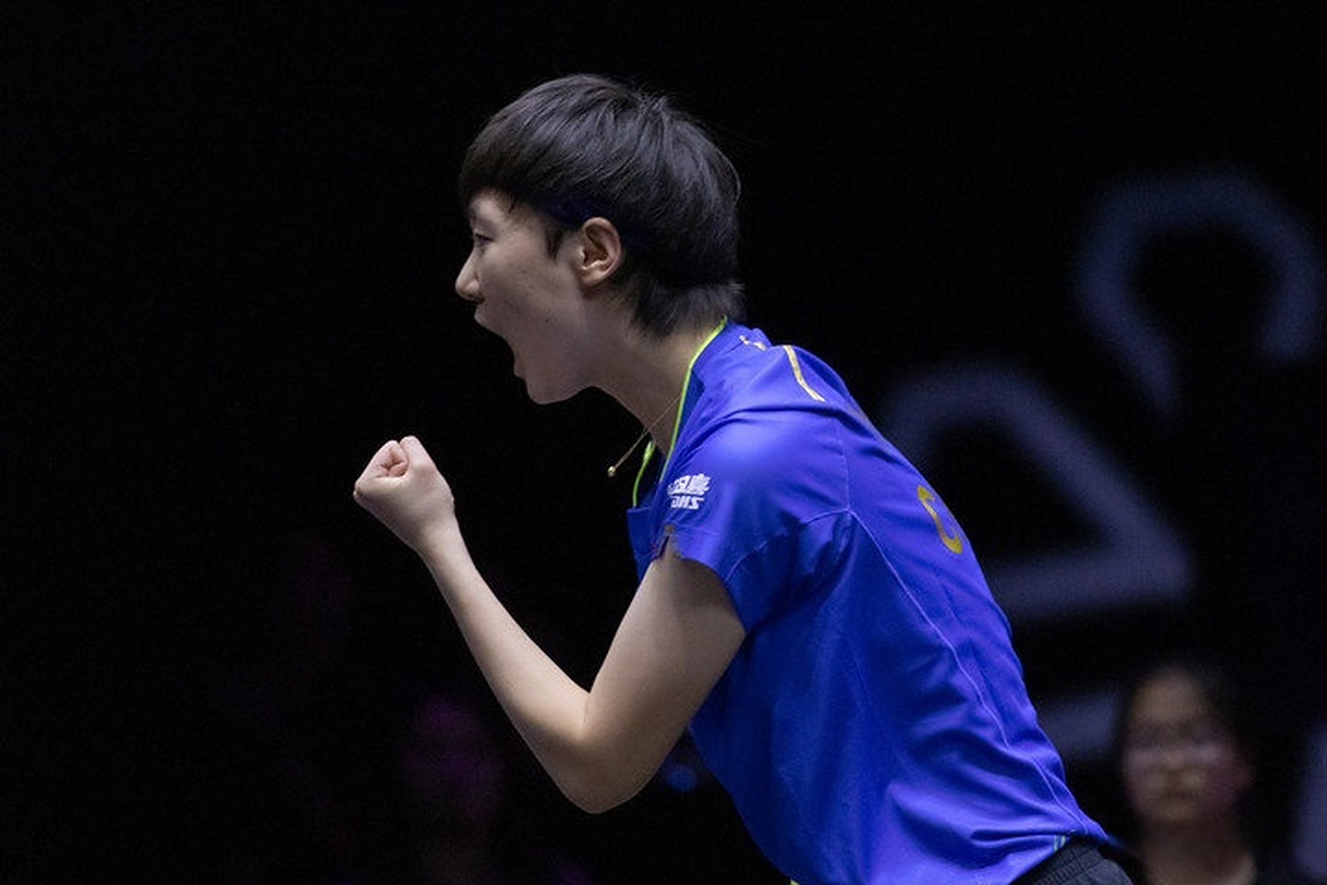 开云体育APP下载-匈牙利球队奋力拼搏,成功晋级下一轮的简单介绍