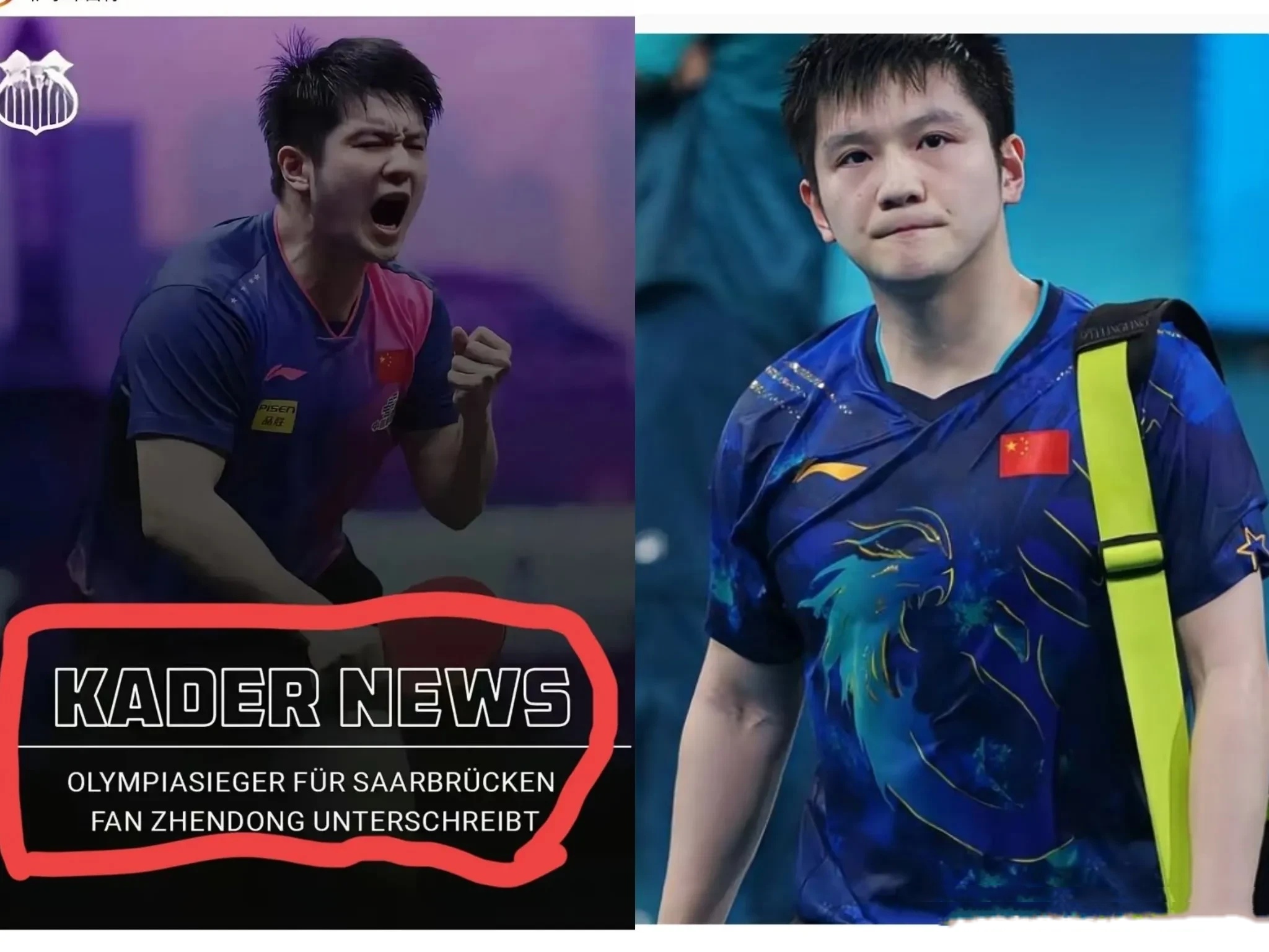 开云体育在线-德国队鏖战日本队，樊振东关键制胜